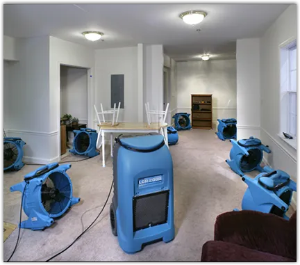 Emergency Water Damage Services in Fairview, TX