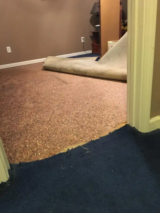 Carpet pad removal revealing water damage during Drying & Dehumidification in Fairview